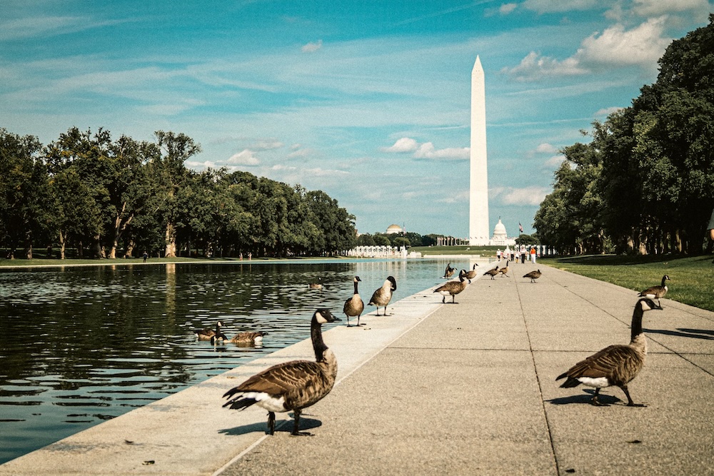 hôtels à Washington D.C.